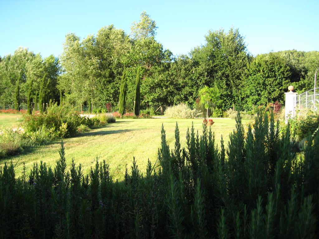 Agriturismo Il Molino Antico - 5 Girasoli สโปเลโต ภายนอก รูปภาพ